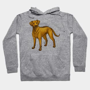 Dog - Rhodesian Ridgeback - Brown Hoodie